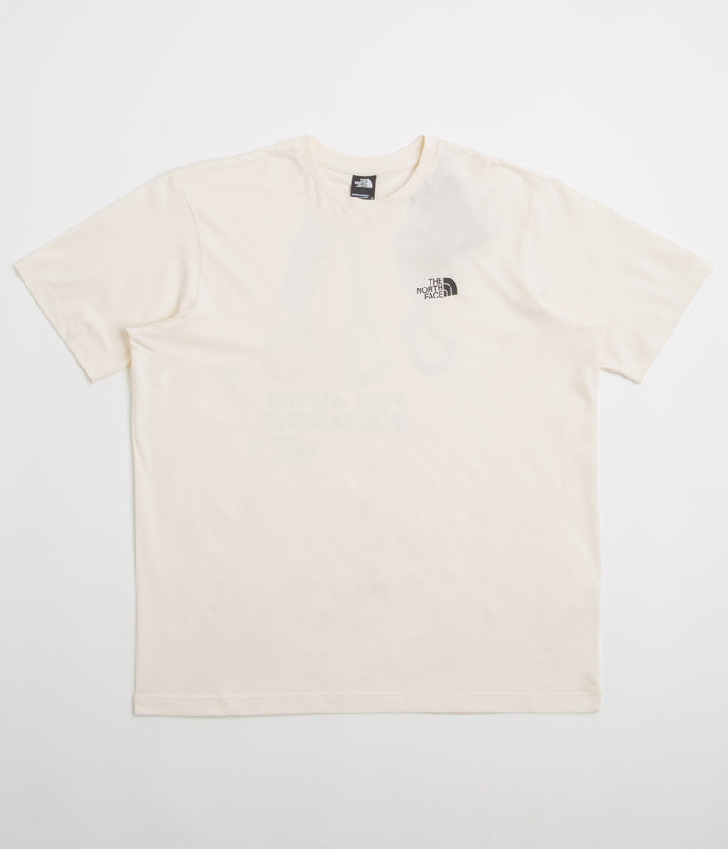 The North Face Explore Gear Relaxed T-Shirt in White Dune