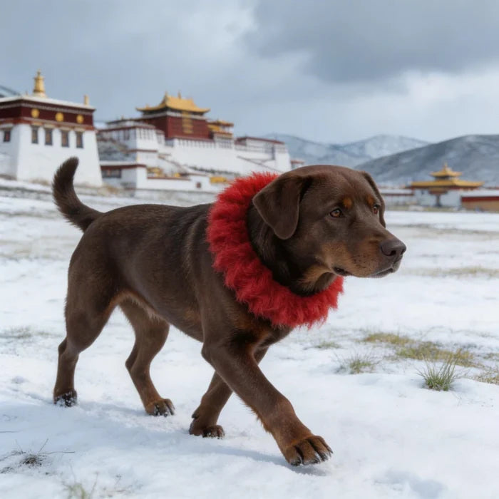 Traditional Kekhor Collar of Tibetan Mastiff - Tibetan Buddhist art, view 7