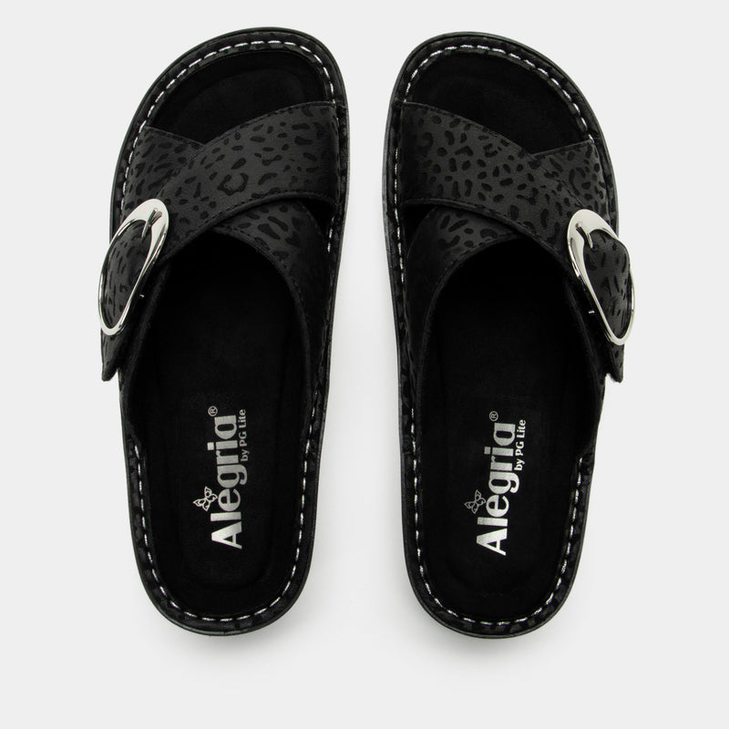 Vanya Not A Cheetah Sandal | Alegria Shoes