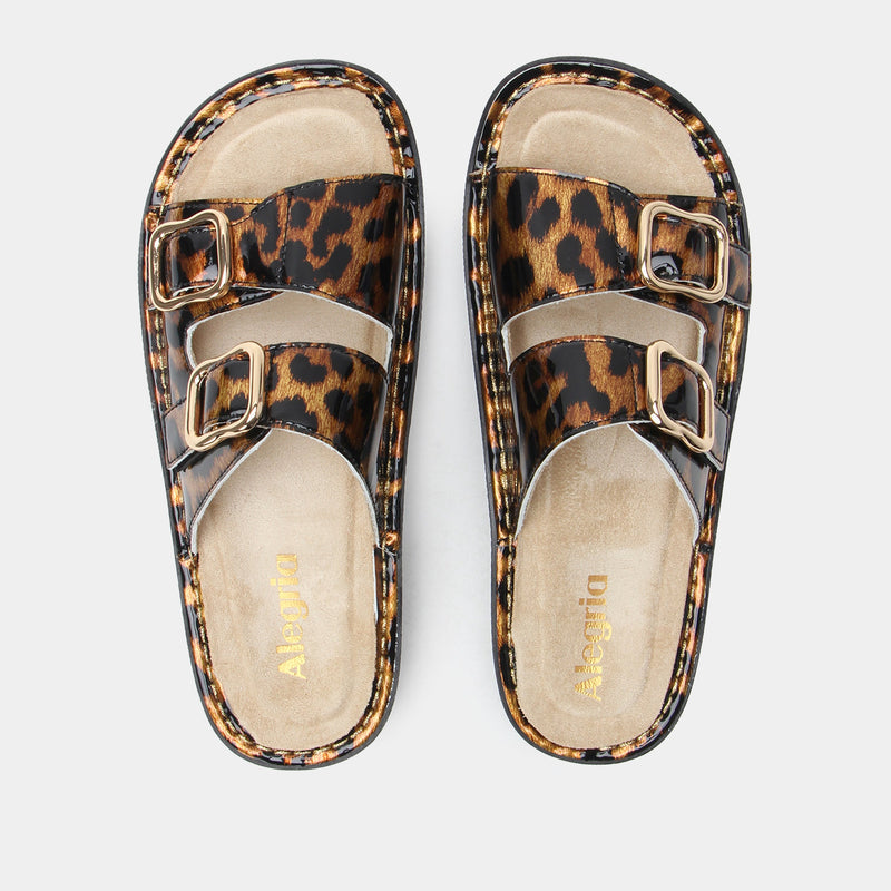 Verah Granimal Sandal | Alegria Shoes