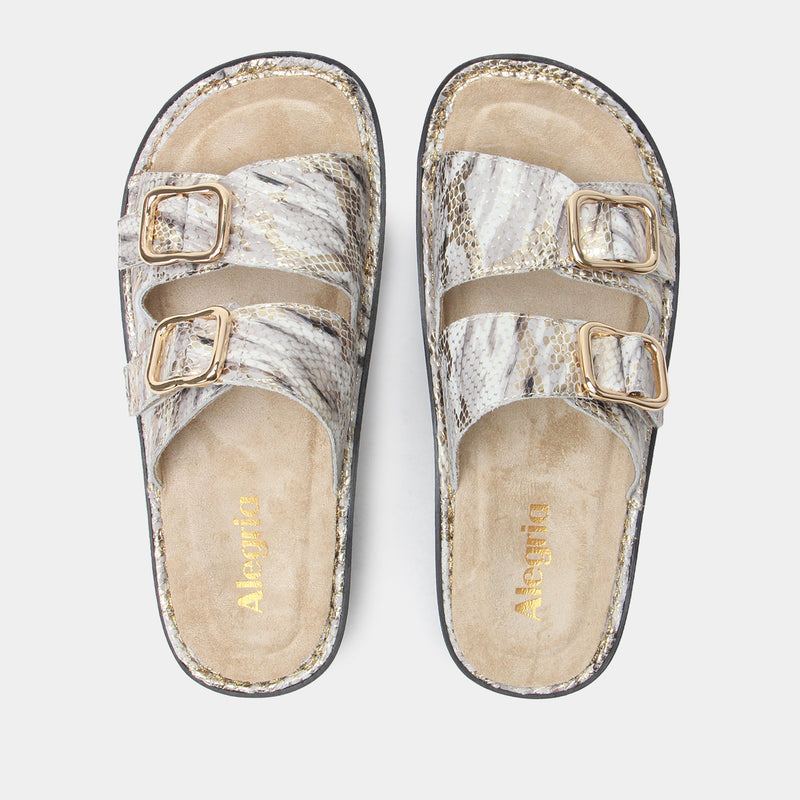 Verah Hoity Toity Sandal | Alegria Shoes