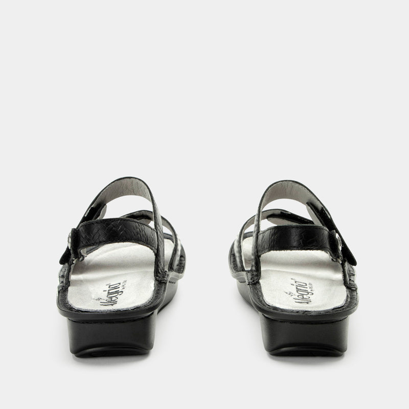 Verona Basketry Black Sandal | Alegria Shoes