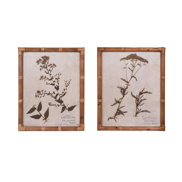 Vintage Botanical Frames Prints - Set of 2