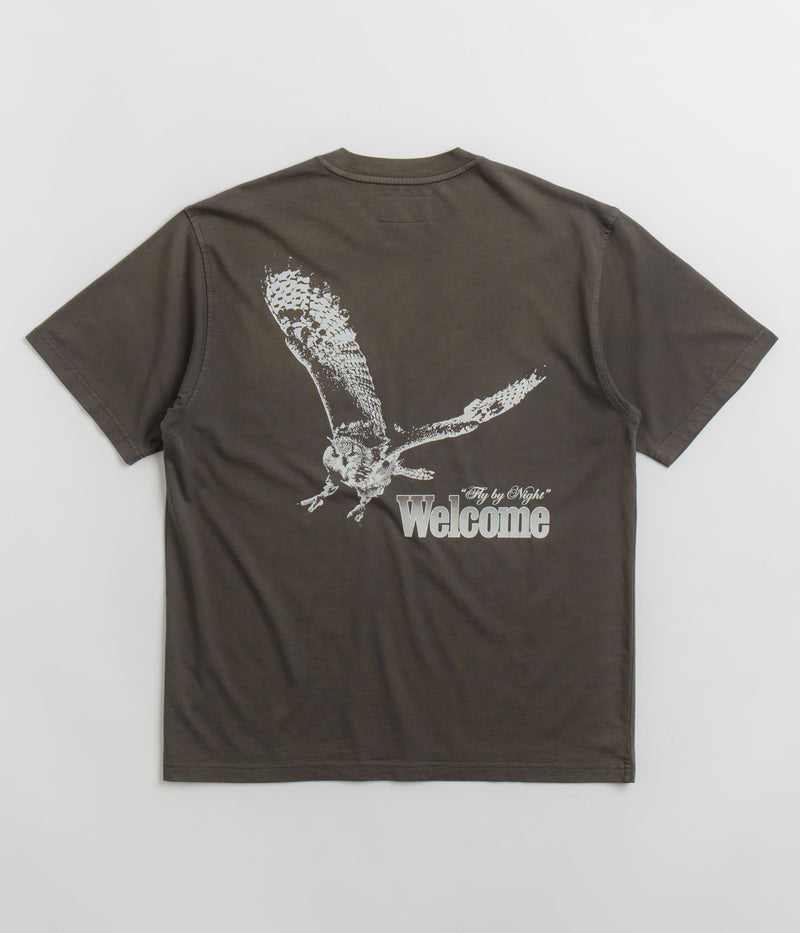 Welcome Fly By Night Enzyme Washed Knit T-Shirt in Wren