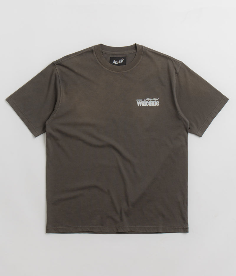Welcome Fly By Night Enzyme Washed Knit T-Shirt in Wren