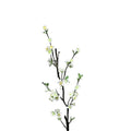 White Plum Blossom Spray