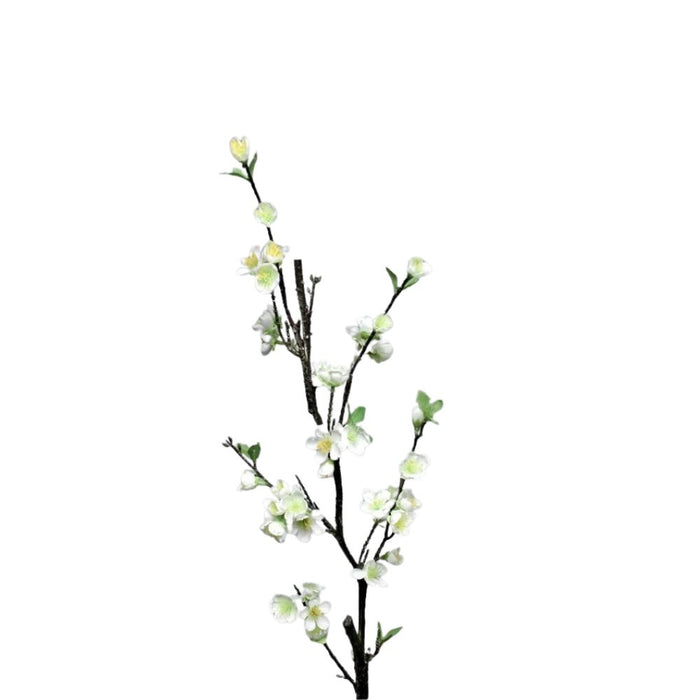 White Plum Blossom Spray