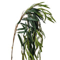 Willow Spray Vranckx
