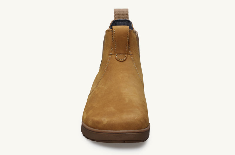 Wheat